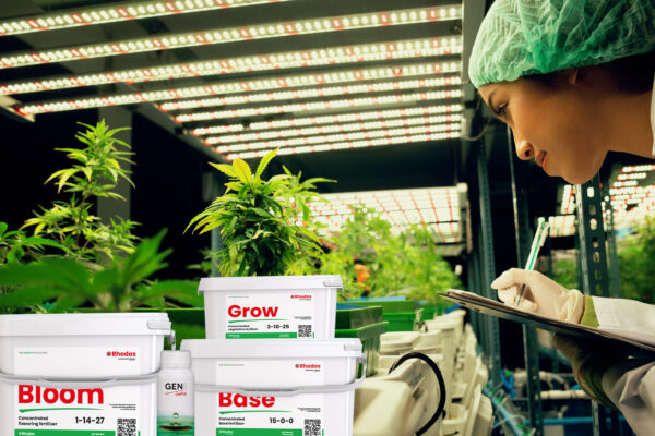 About Gen200 – grower inspecting plants next to Rhodos Grow, Base and Bloom buckets