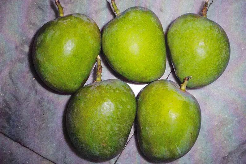 Mango fruit after treatment with GEN200 Control