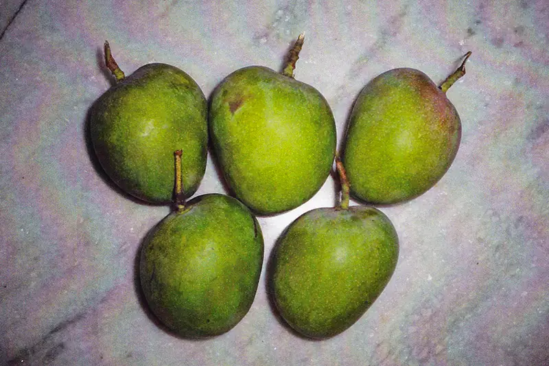 Mango fruit before treatment with GEN200 Control